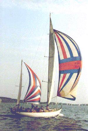 Fastnet 1995